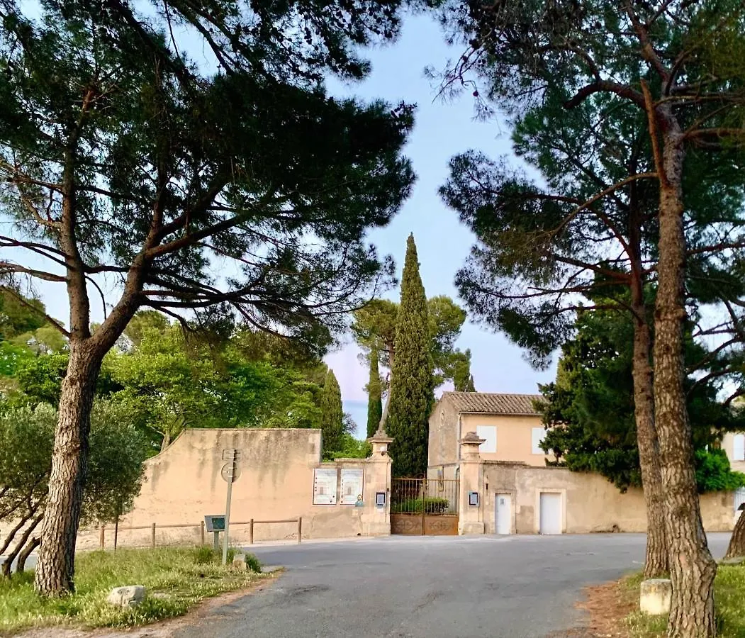 Hébergement de vacances L'Alpille, à 10 minutes à pied du centre ville de St Rémy de Provence, proche d'Arles Saint-Rémy-de-Provence