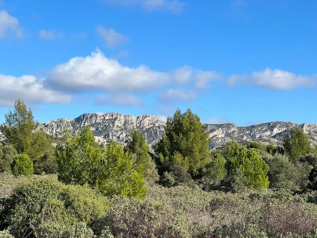 L'Alpille, à 10 minutes à pied du centre ville de St Rémy de Provence, proche d'Arles Saint-Rémy-de-Provence France