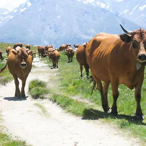 au-coeur-du-parc-de-la-vanoise-termignon-val-cenis.hotels-rhonealpes.com/